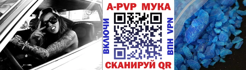 Где продают наркотики Сольвычегодск МАРИХУАНА  Cocaine  ГАШИШ  Alpha PVP  Псилоцибиновые грибы  МЕФ 